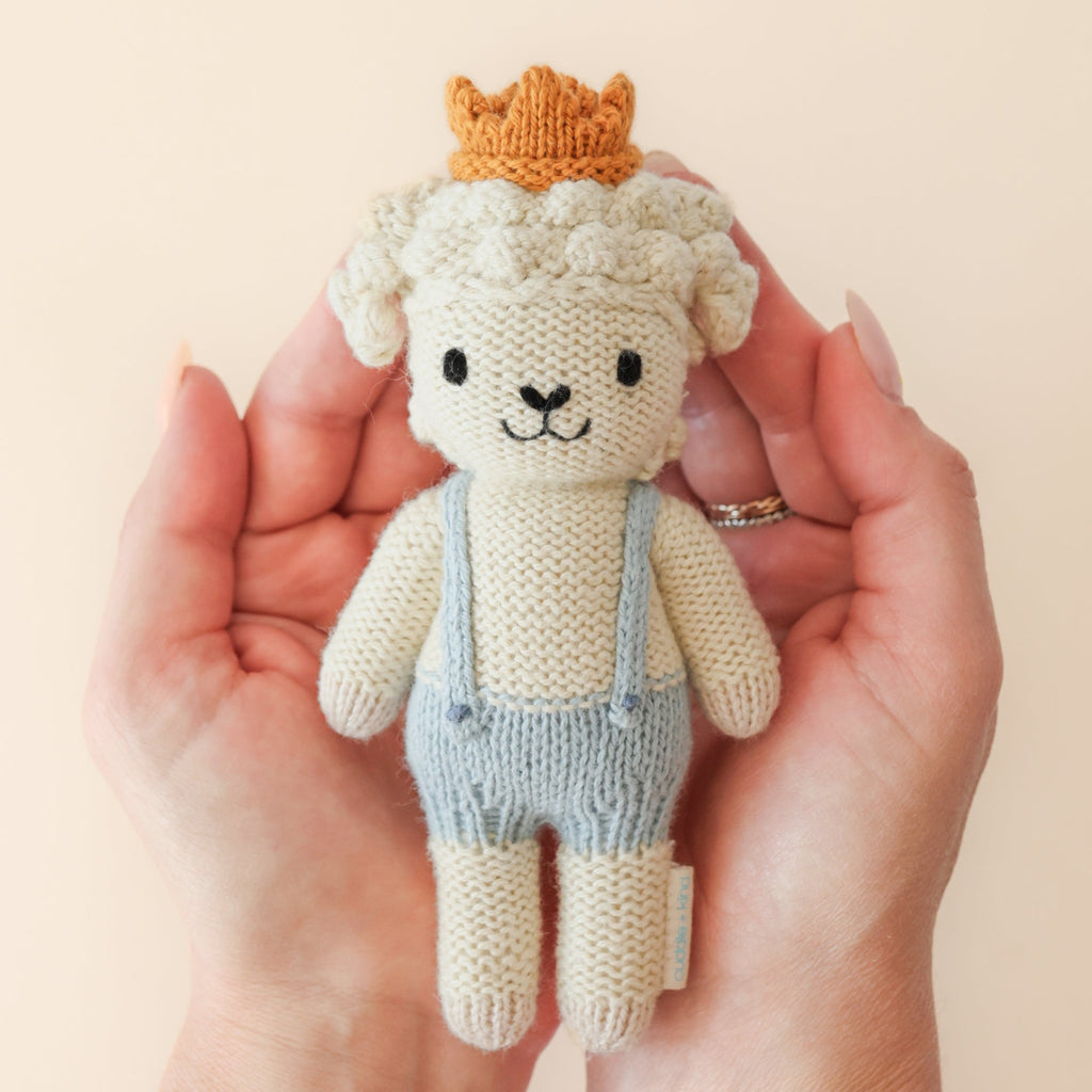 Tiny Sebastian the lamb