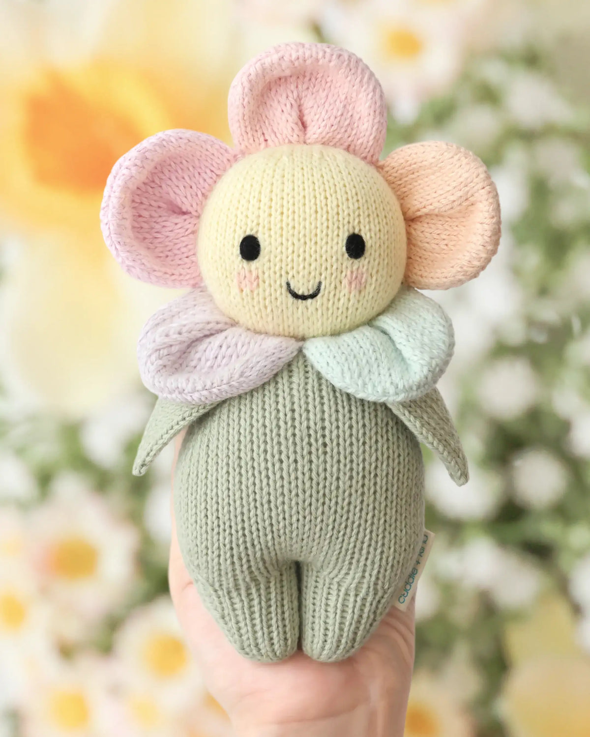 Baby daisy (sunshower)