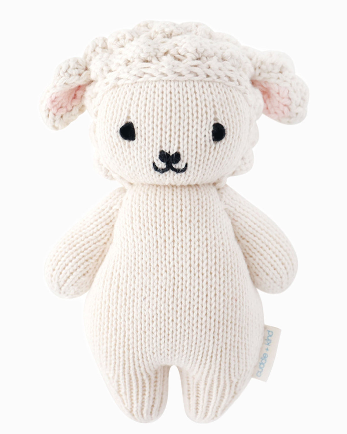 Baby lamb