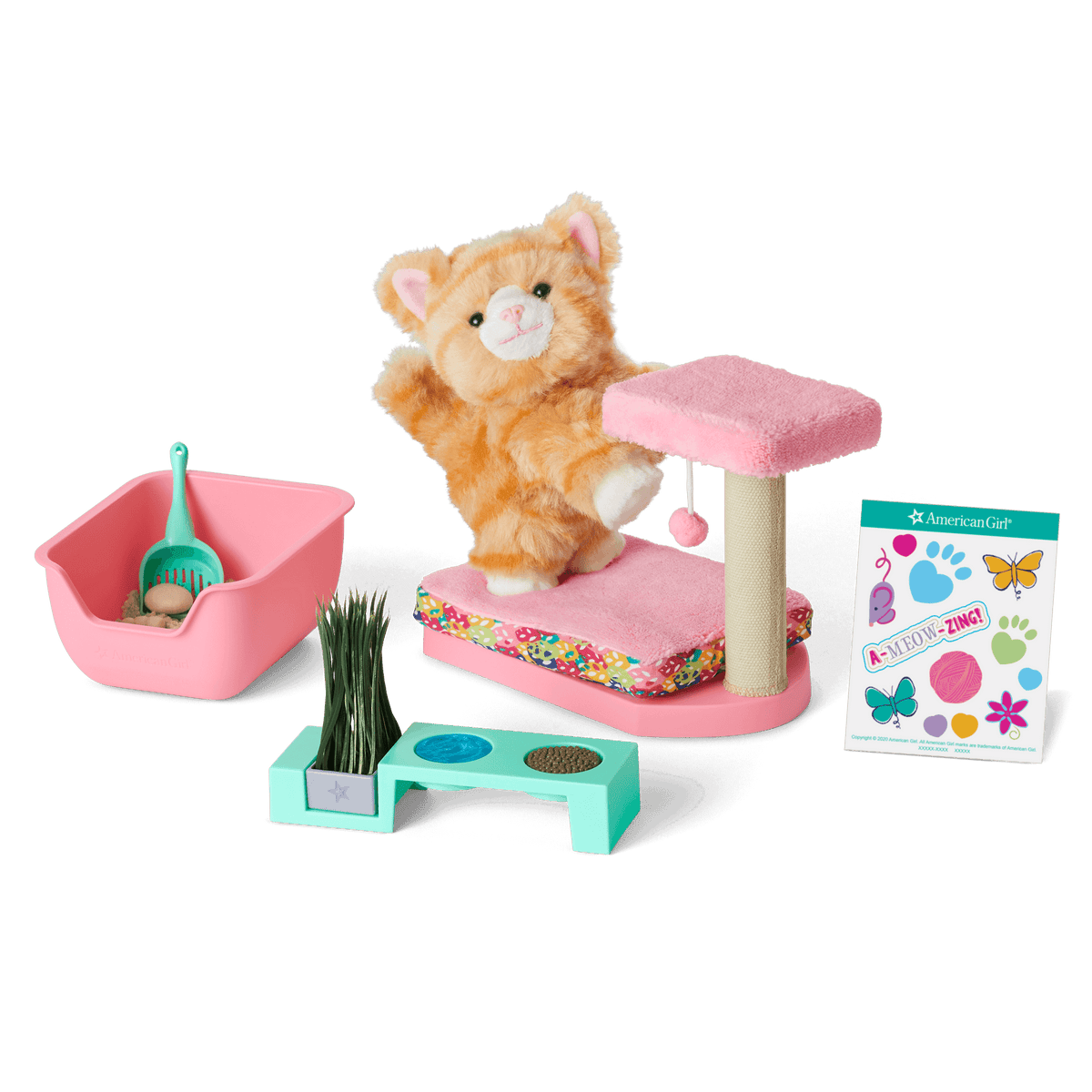 Cat Care Essentials